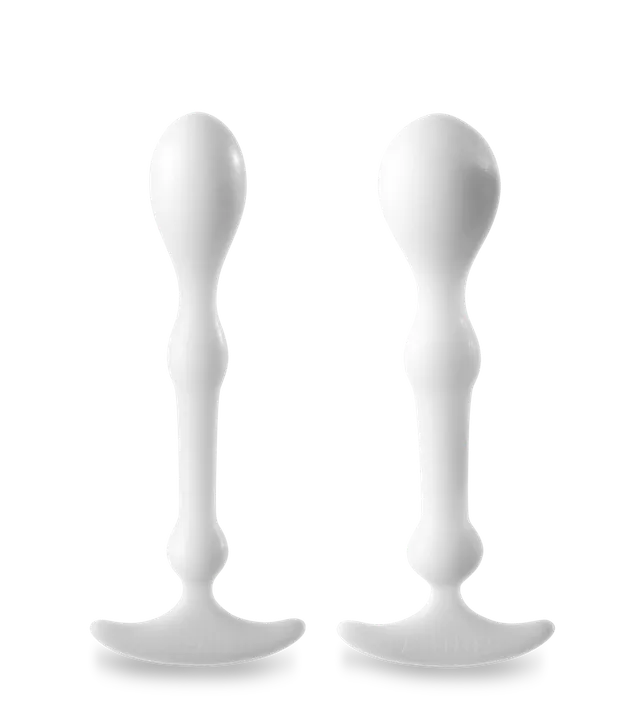 aneros-peridise-plug-anal-unisexe-lot-de-2-petit image 1