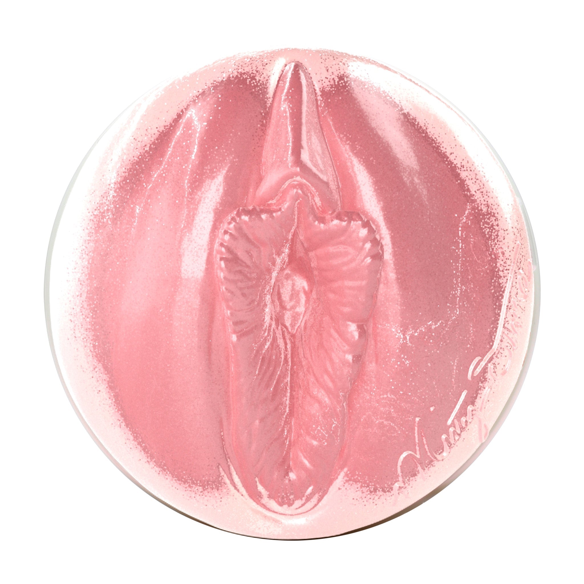 fleshlight-girls-misty-stone-birthday-masturbateur-lady image 2