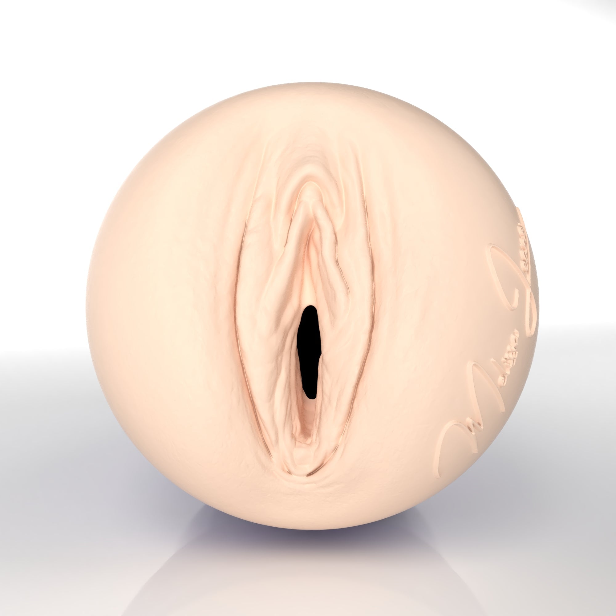fleshlight-pro-melissa-jeane-masturbateur-vagin-ravage image 2