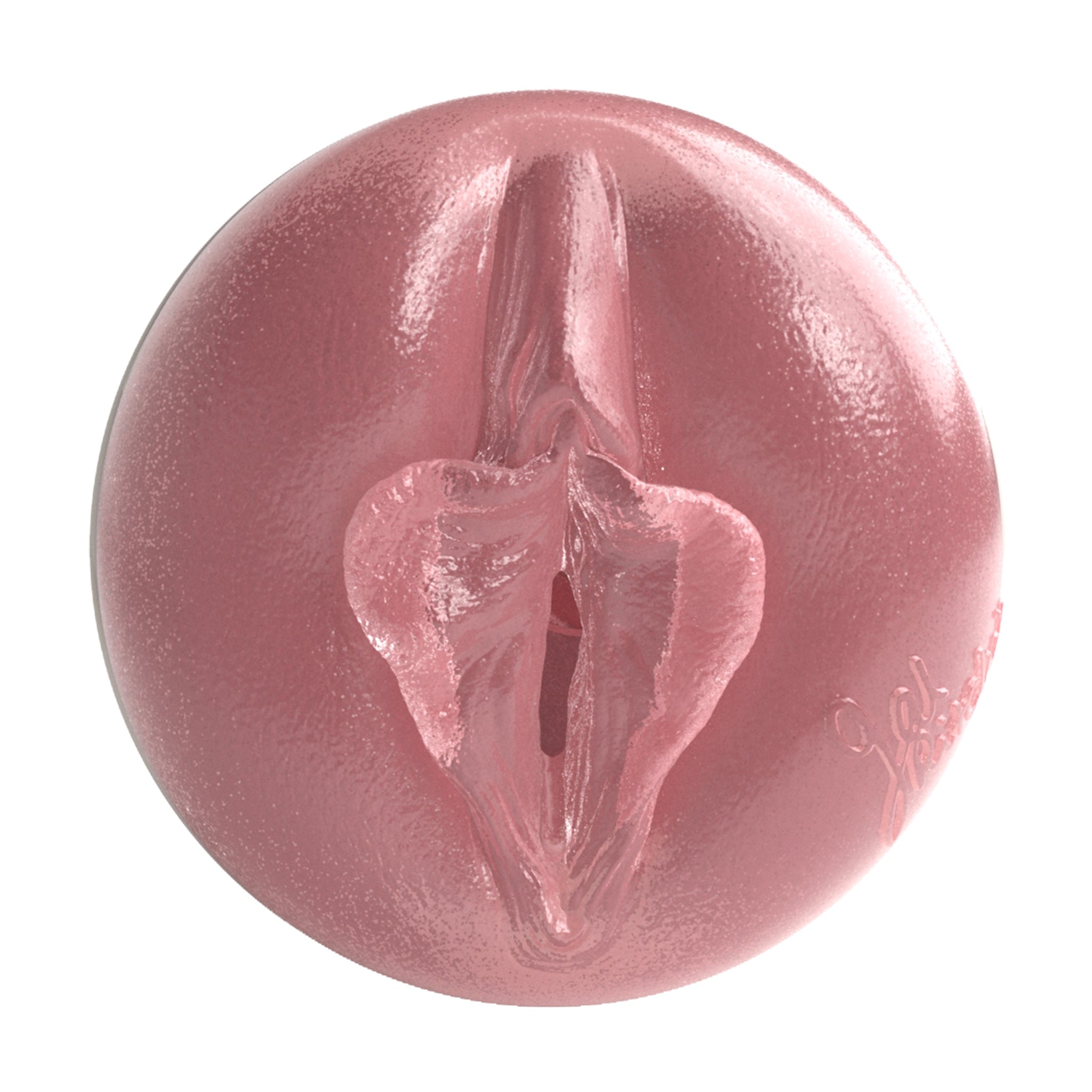fleshlight-girls-gal-ritchie-birthday-cake-masturbateur-reverse image 2