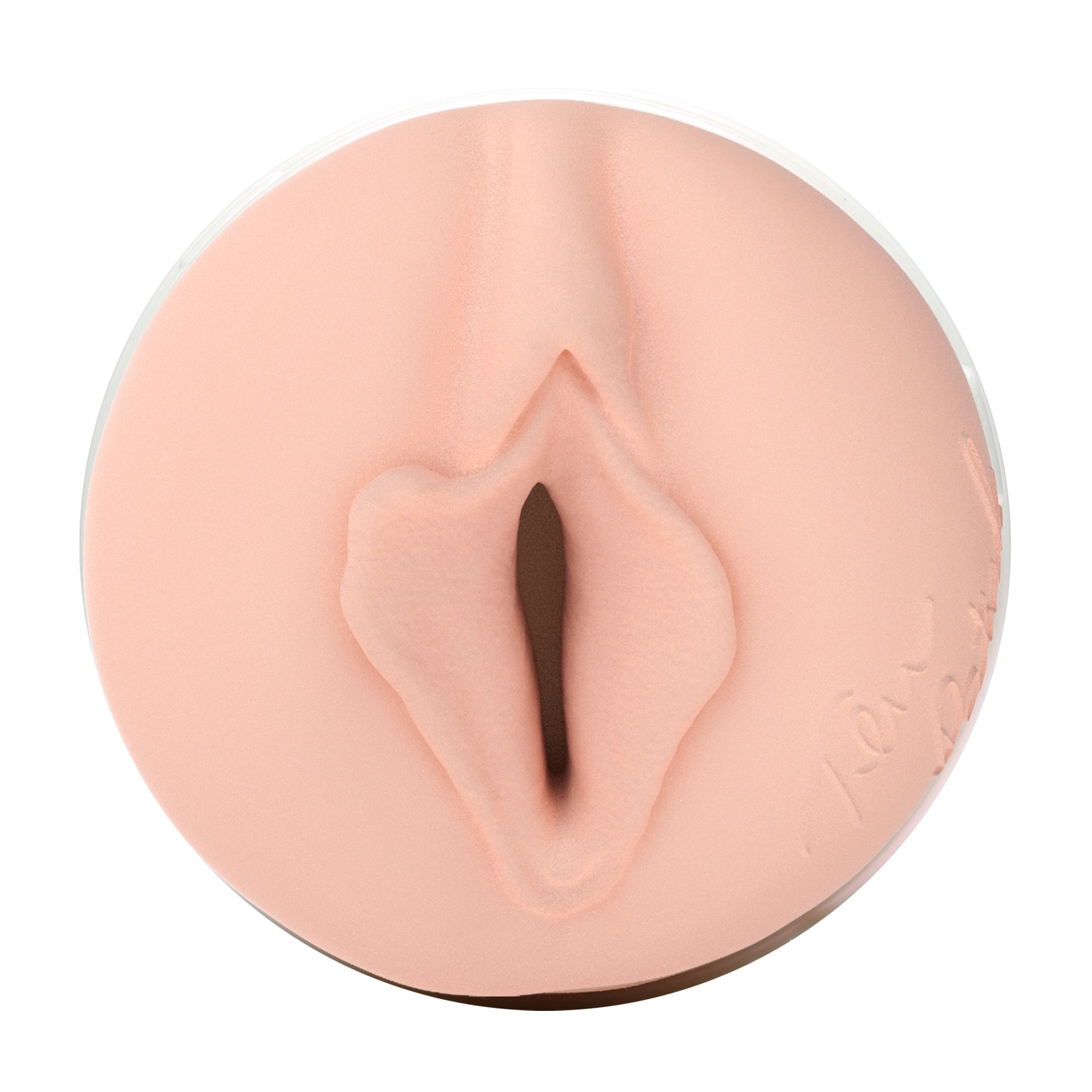 fleshlight-girls-tera-patrick-masturbateur-tease-avec-tui image 2