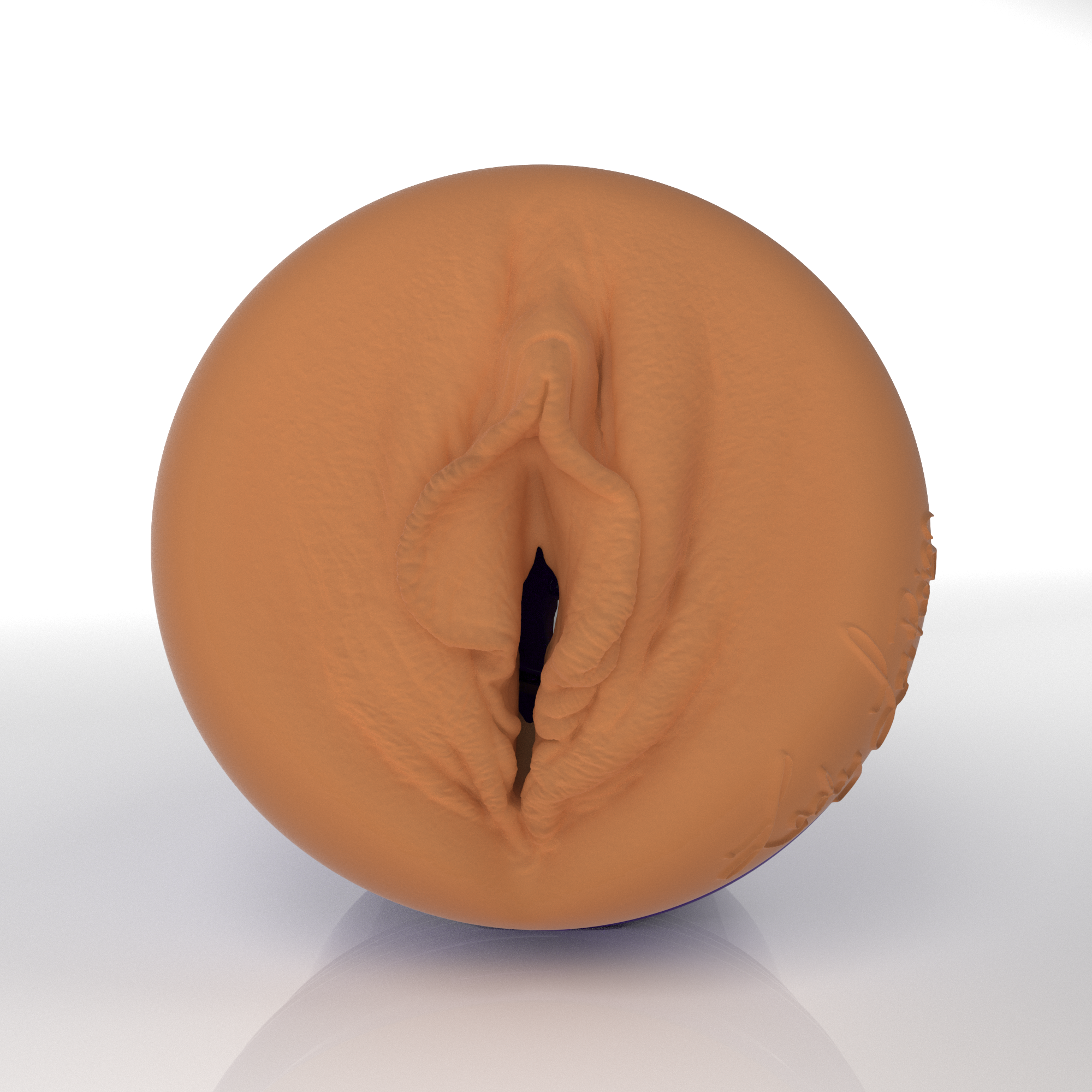 fleshlight-pro-lorreign-masturbateur-allure-lady image 2