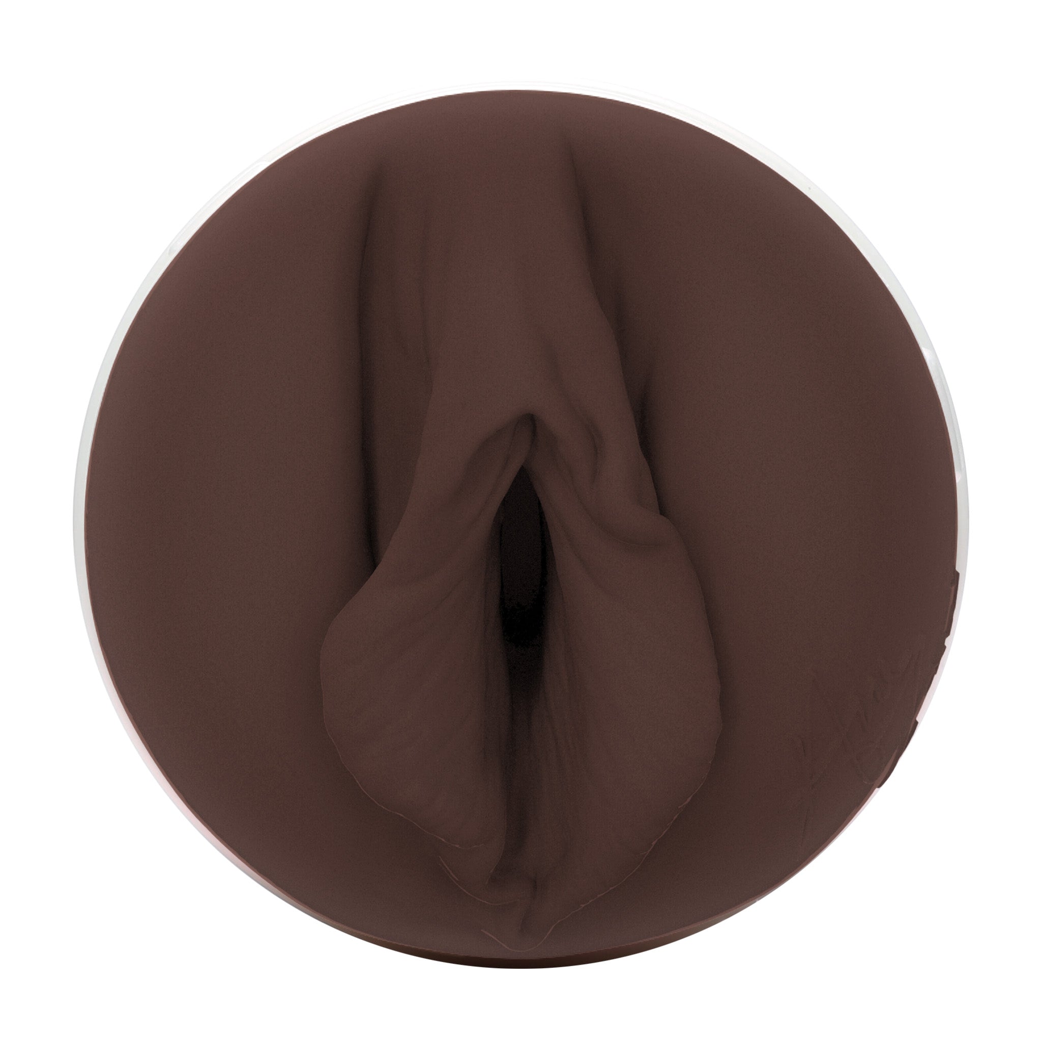 fleshlight-girls-ana-foxxx-masturbateur-silk-vagin image 3