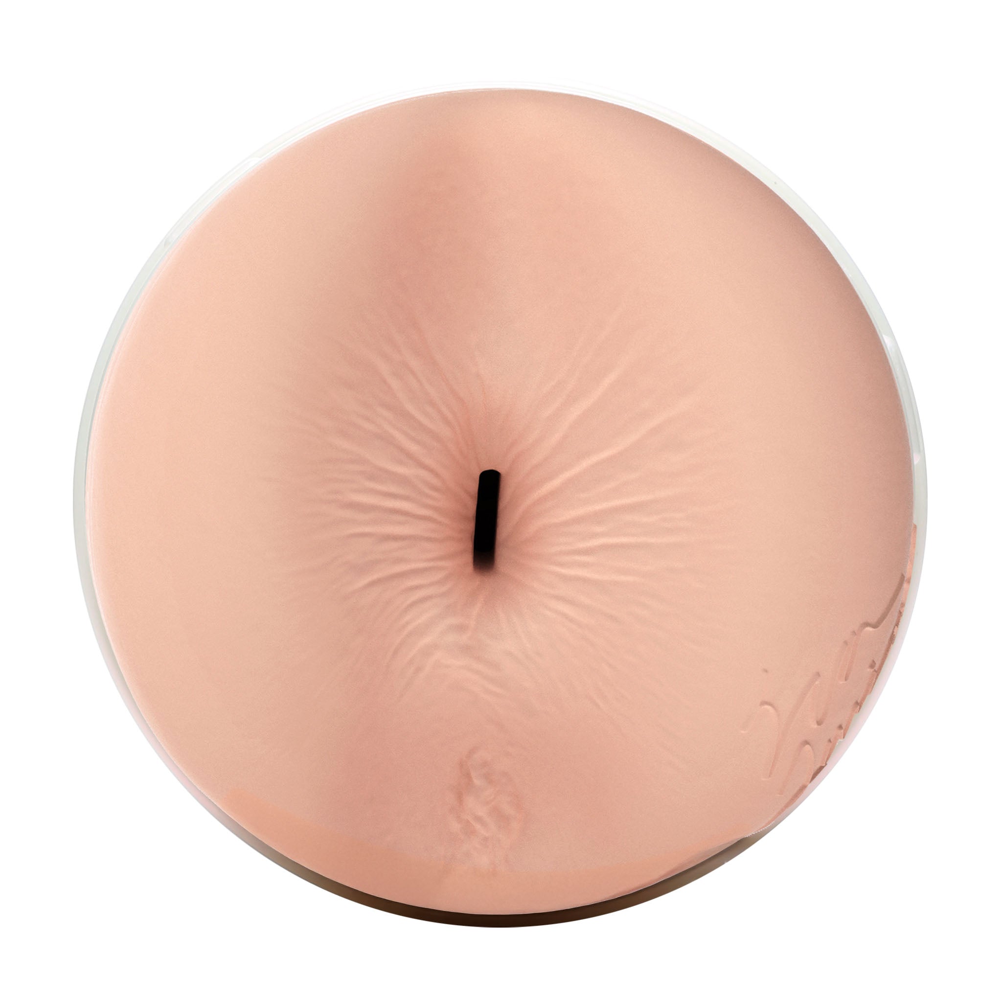 fleshlight-girls-eva-lovia-masturbateur-sugar-avec-tui image 5