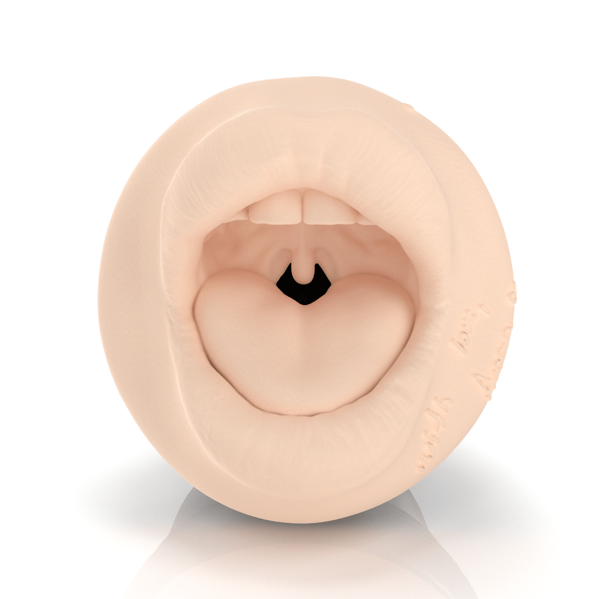fleshlight-girls-anne-marie-art-masturbateur-lady image 8