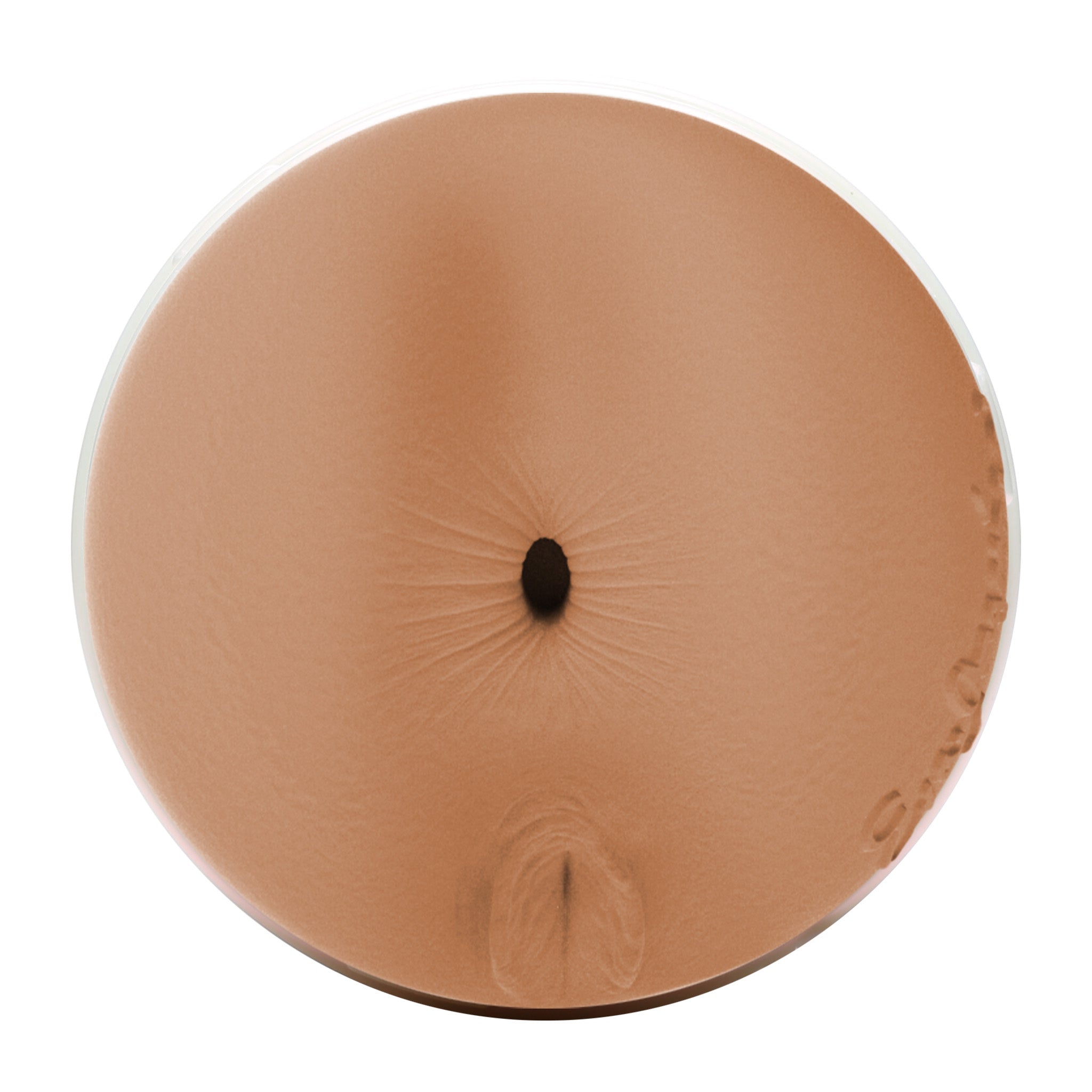 fleshlight-girls-eva-angelina-masturbateur-smolder-avec-tui image 8