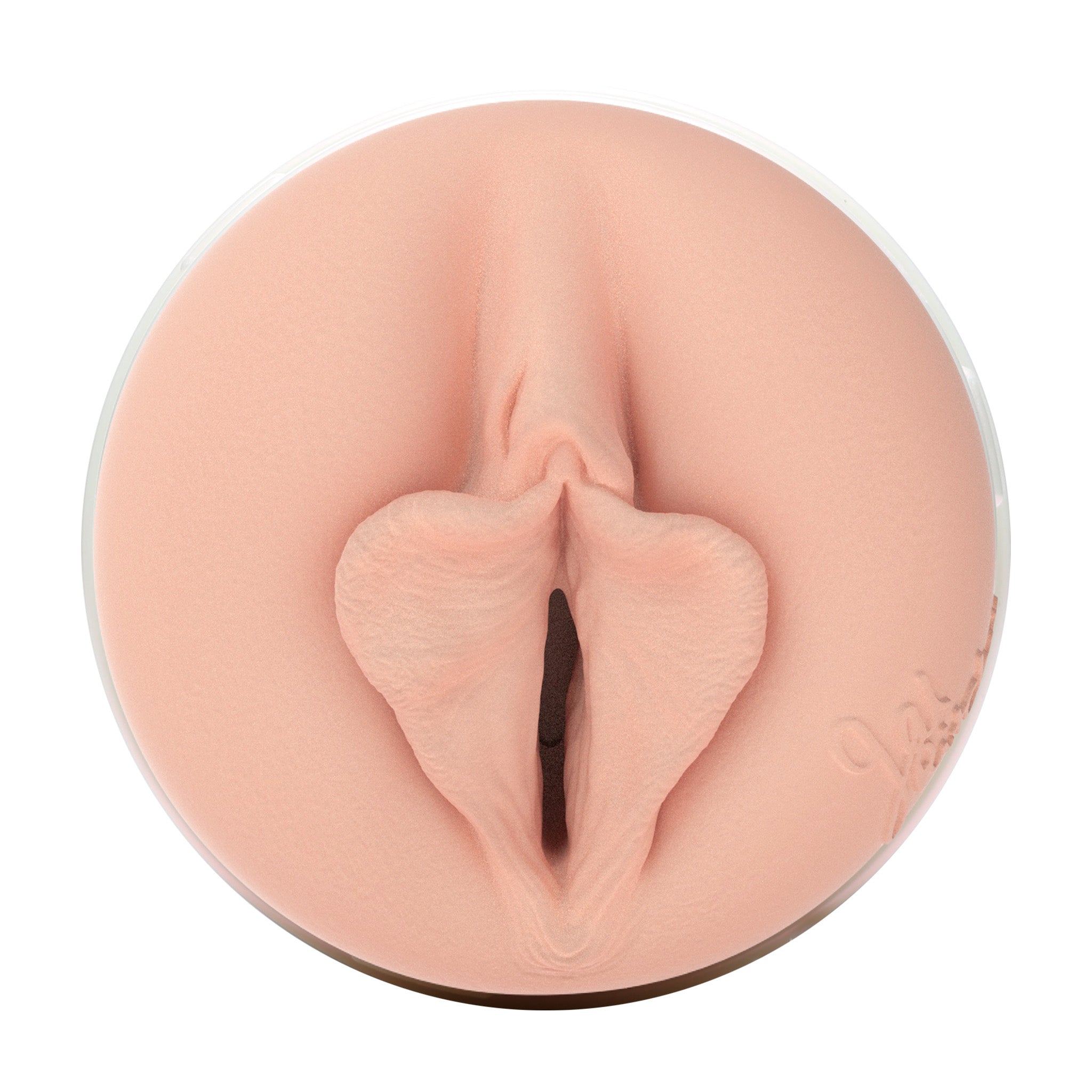 fleshlight-girls-gal-ritchie-masturbateur-vaginal-avec-tui-r-aliste image 5
