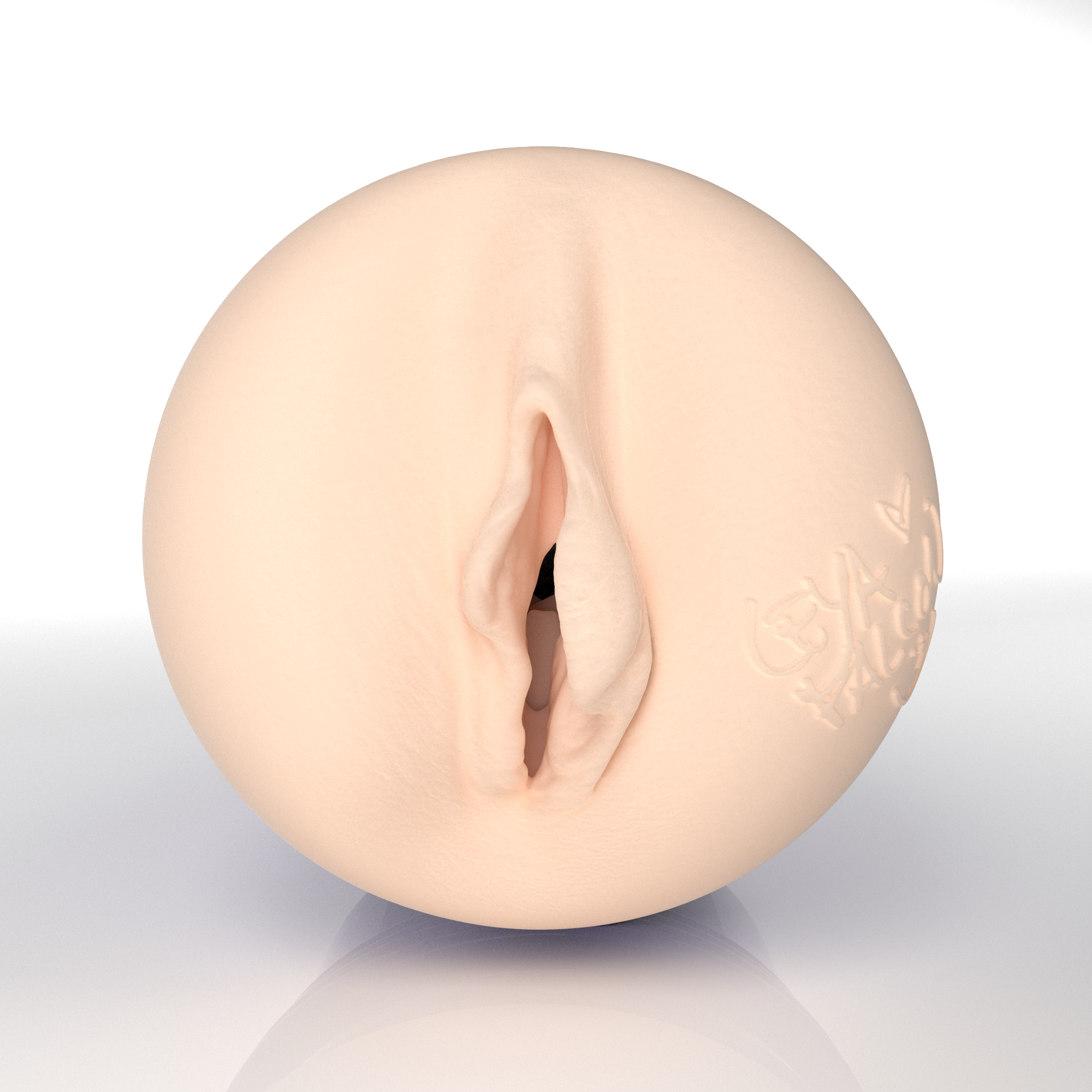 fleshlight-pro-leya-falcon-masturbateur-vaginal-allure-chatte image 2
