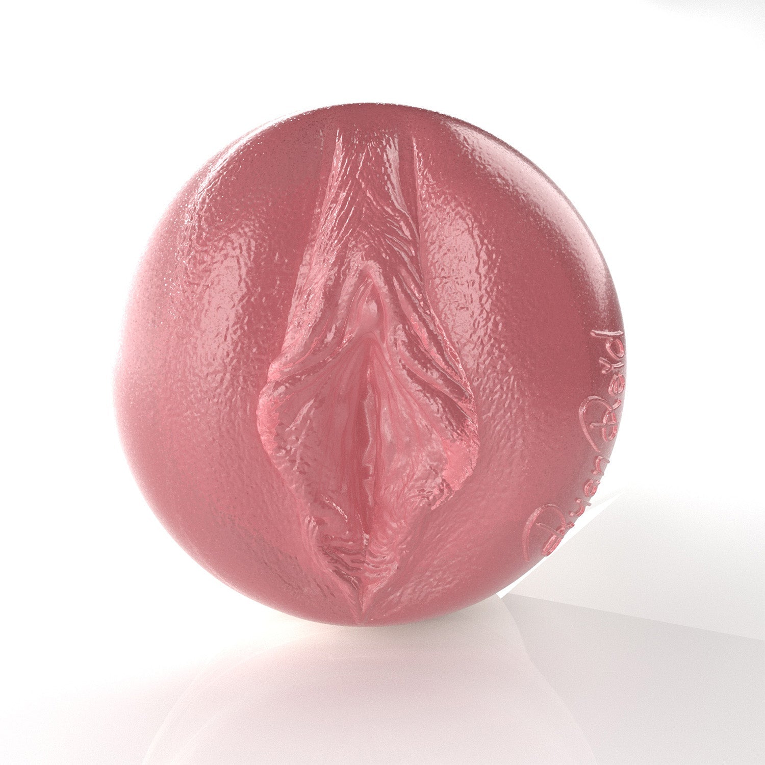 fleshlight-girls-ryan-reid-masturbateur-vagin-fairway-birthday image 3
