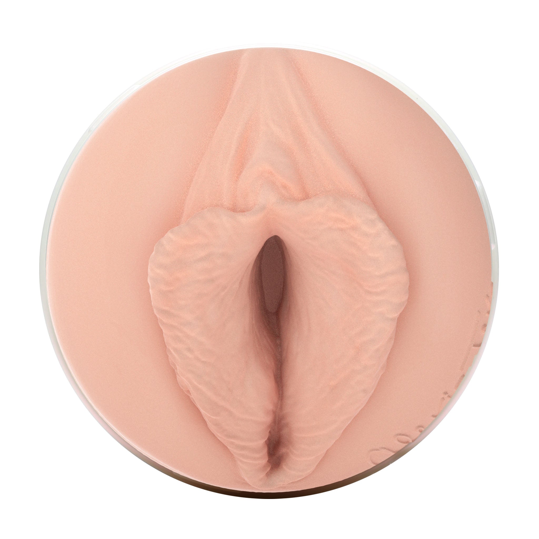 fleshlight-girls-alexis-texas-masturbateur-outlaw-lady-avec-tui image 4