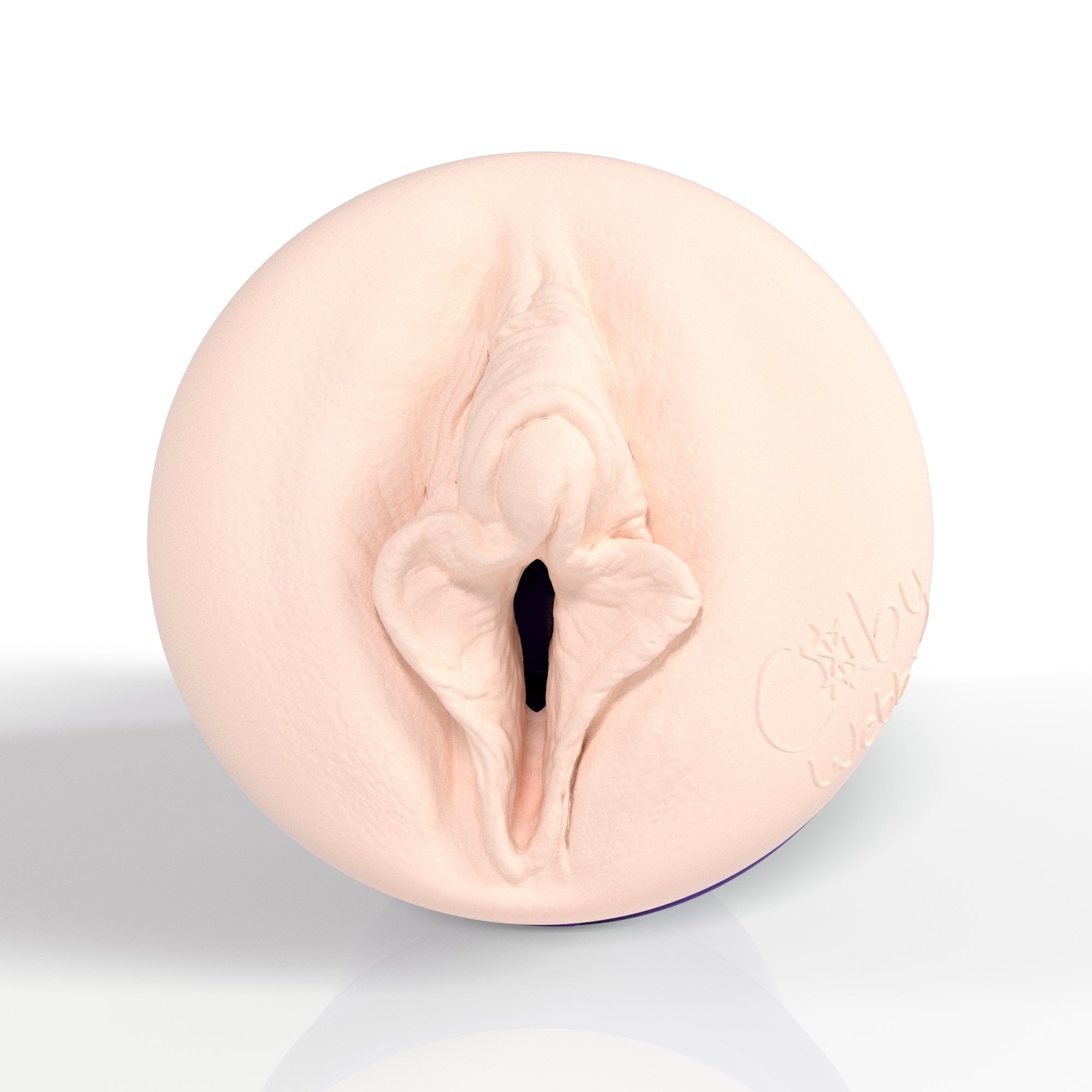 fleshlight-pro-coby-webb-masturbateur-goon-allure-r-aliste image 2