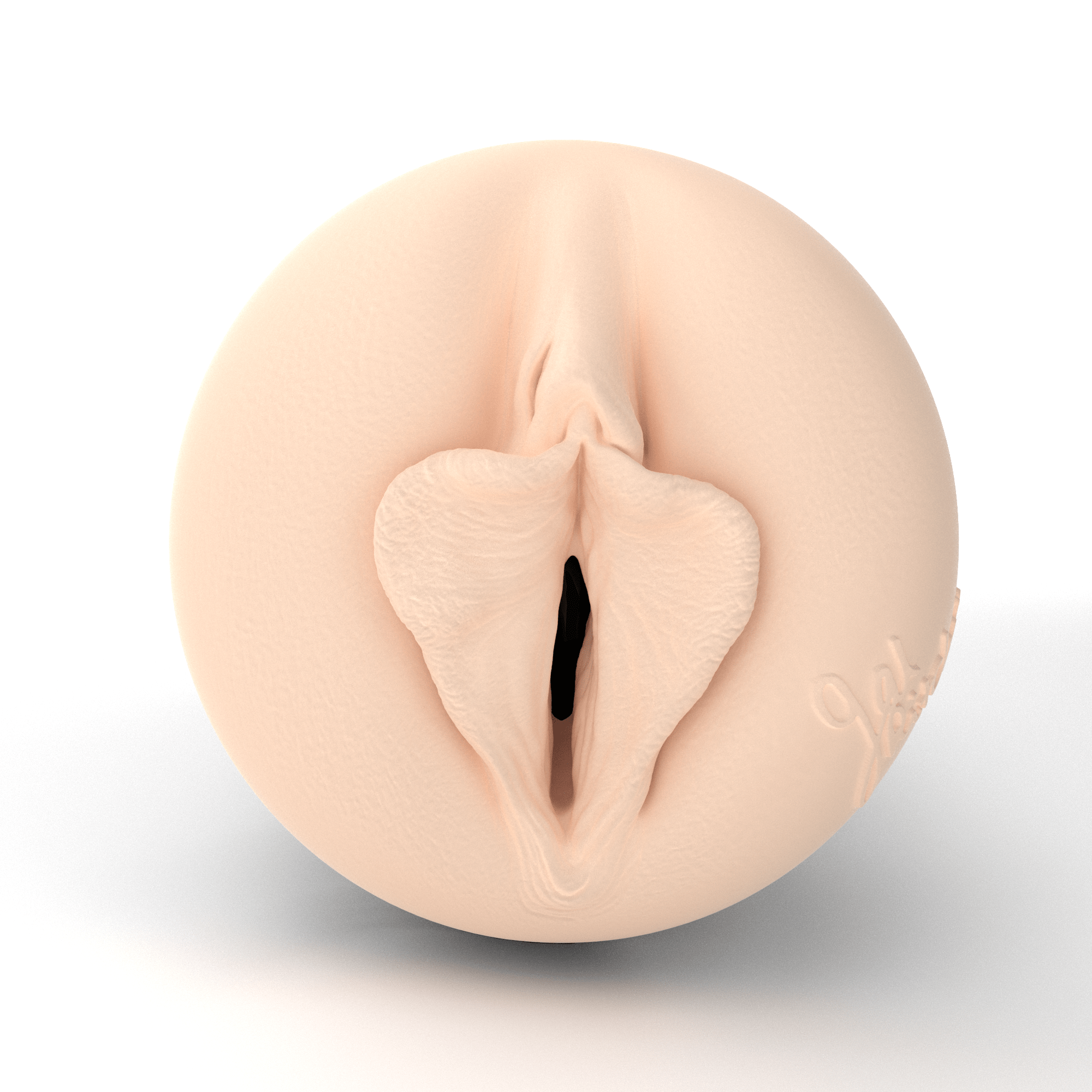 fleshlight-girls-gal-ritchie-vixen-masturbateur-vagin image 2