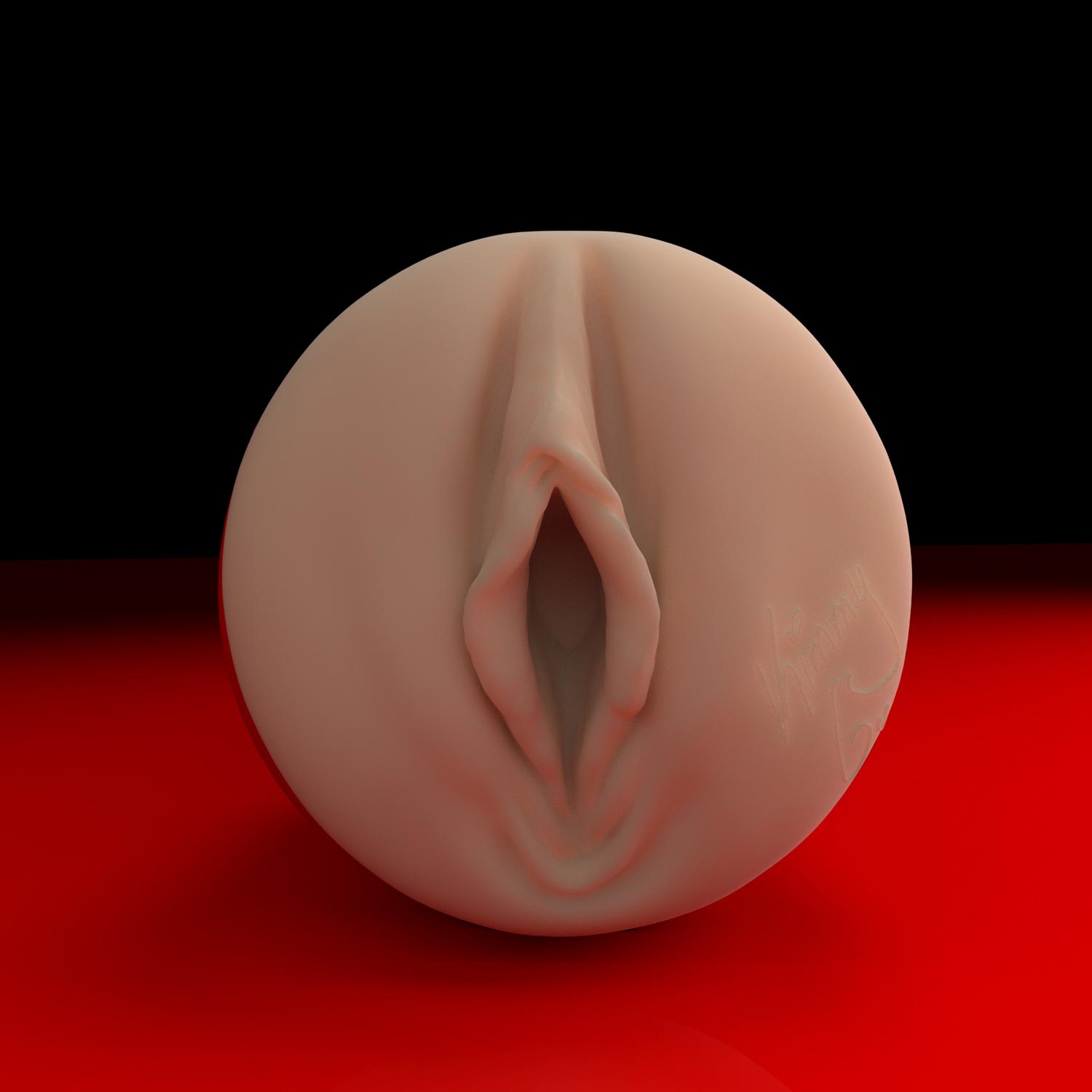fleshlight-girls-kimmy-granger-ricky-s-room-masturbateur-lady image 2