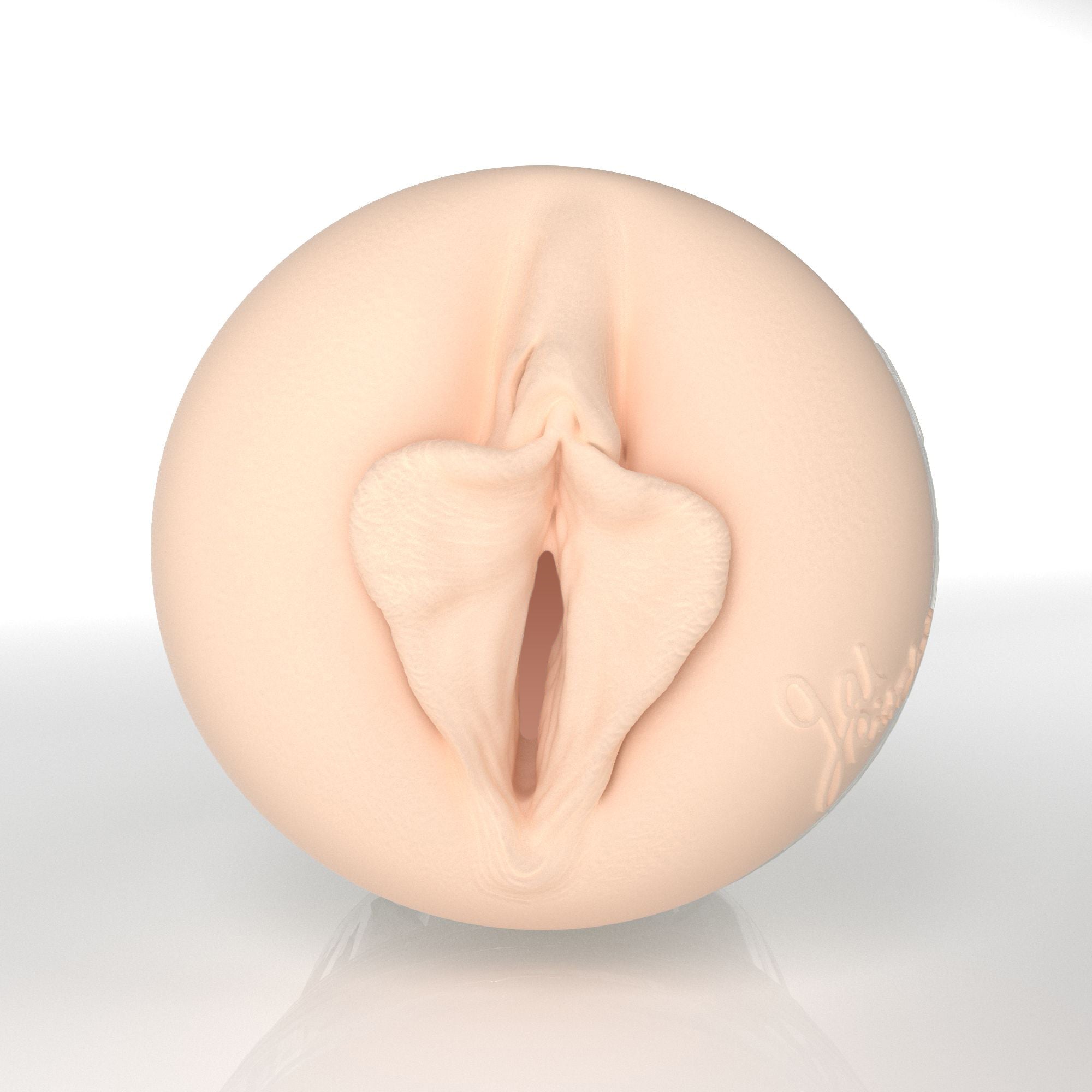 fleshlight-girls-gal-ritchie-x3-2026-masturbateur-vaginal image 3