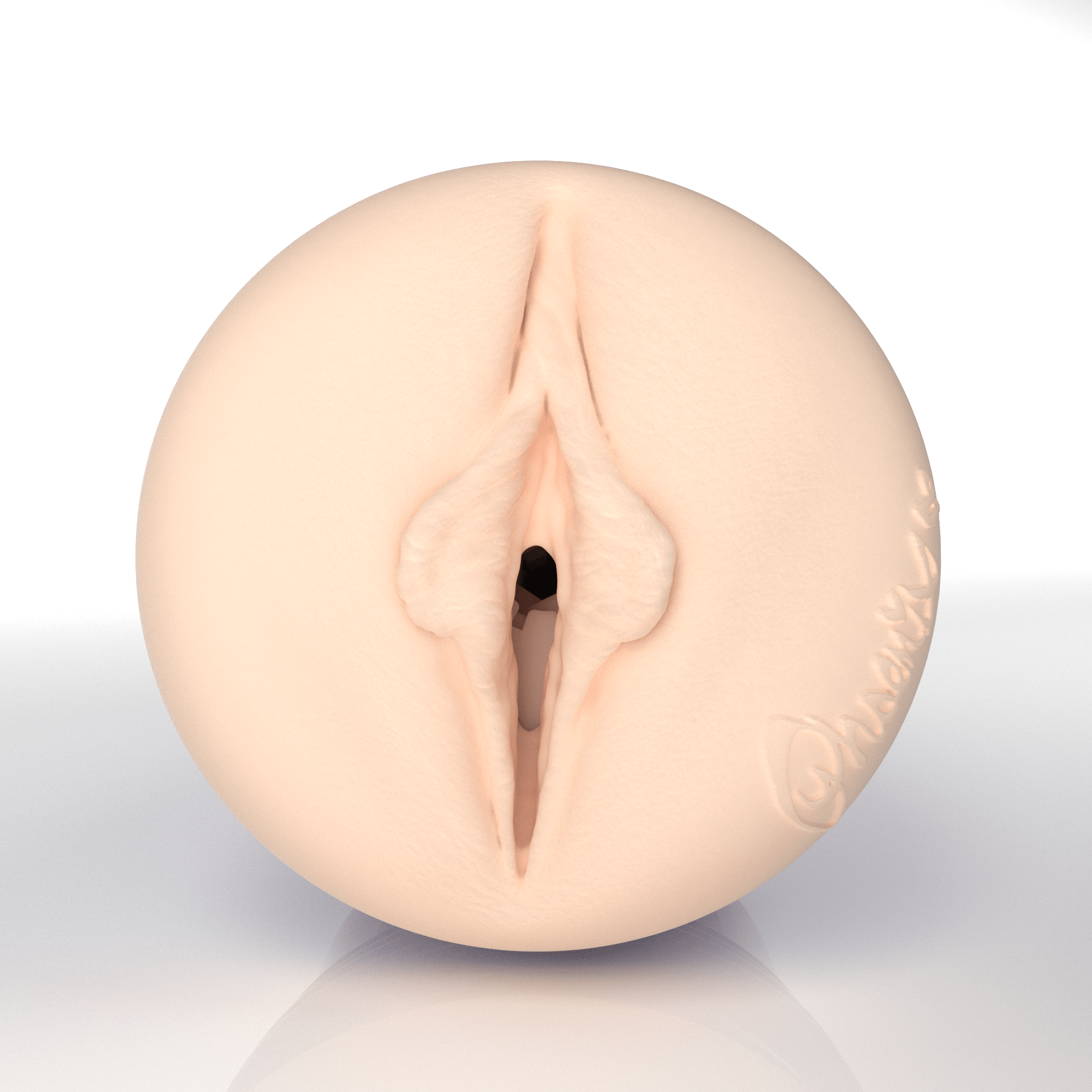fleshlight-pro-phoenix-masturbateur-vaginal-allure image 2