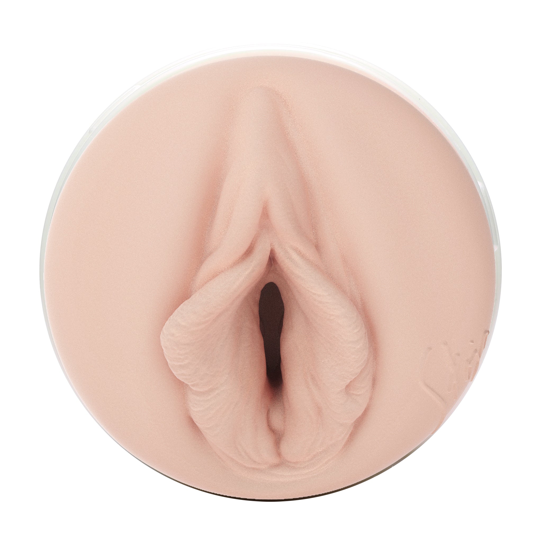 fleshlight-girls-stoya-destroya-masturbateur-vagin-lady-avec-tui image 2