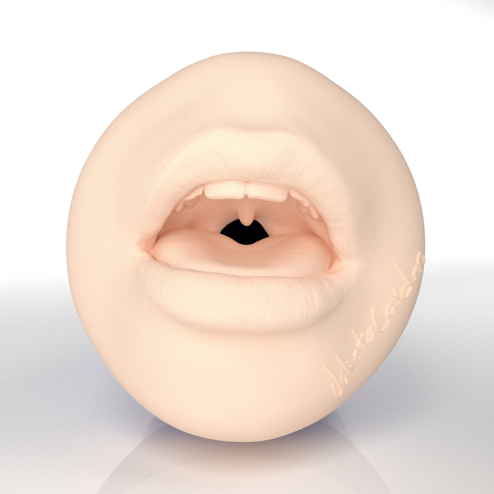fleshlight-pro-julieta-carden-masturbateur-bouche-allure image 2
