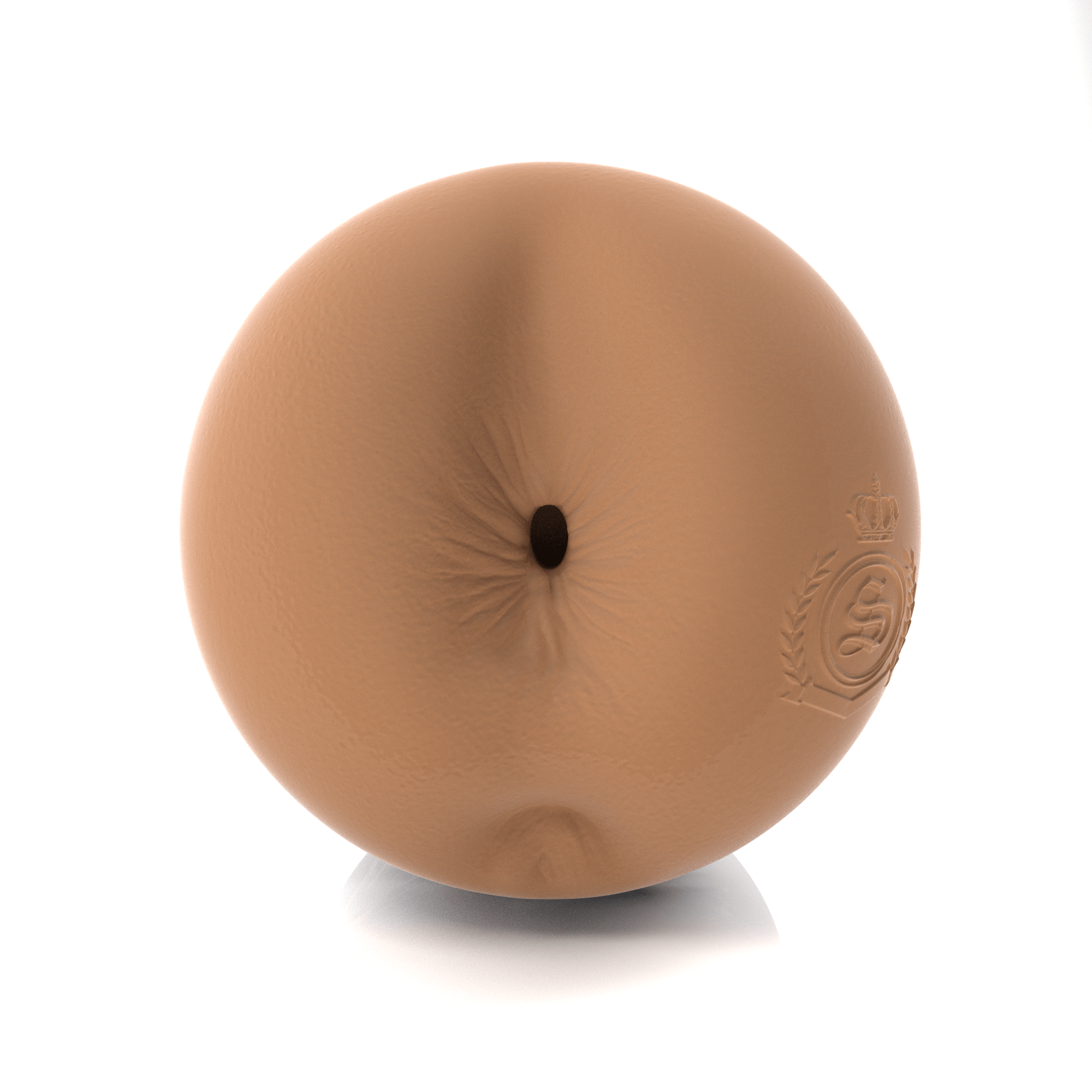 fleshlight-pro-stella-lagneia-masturbateur-allure-freeuse image 6