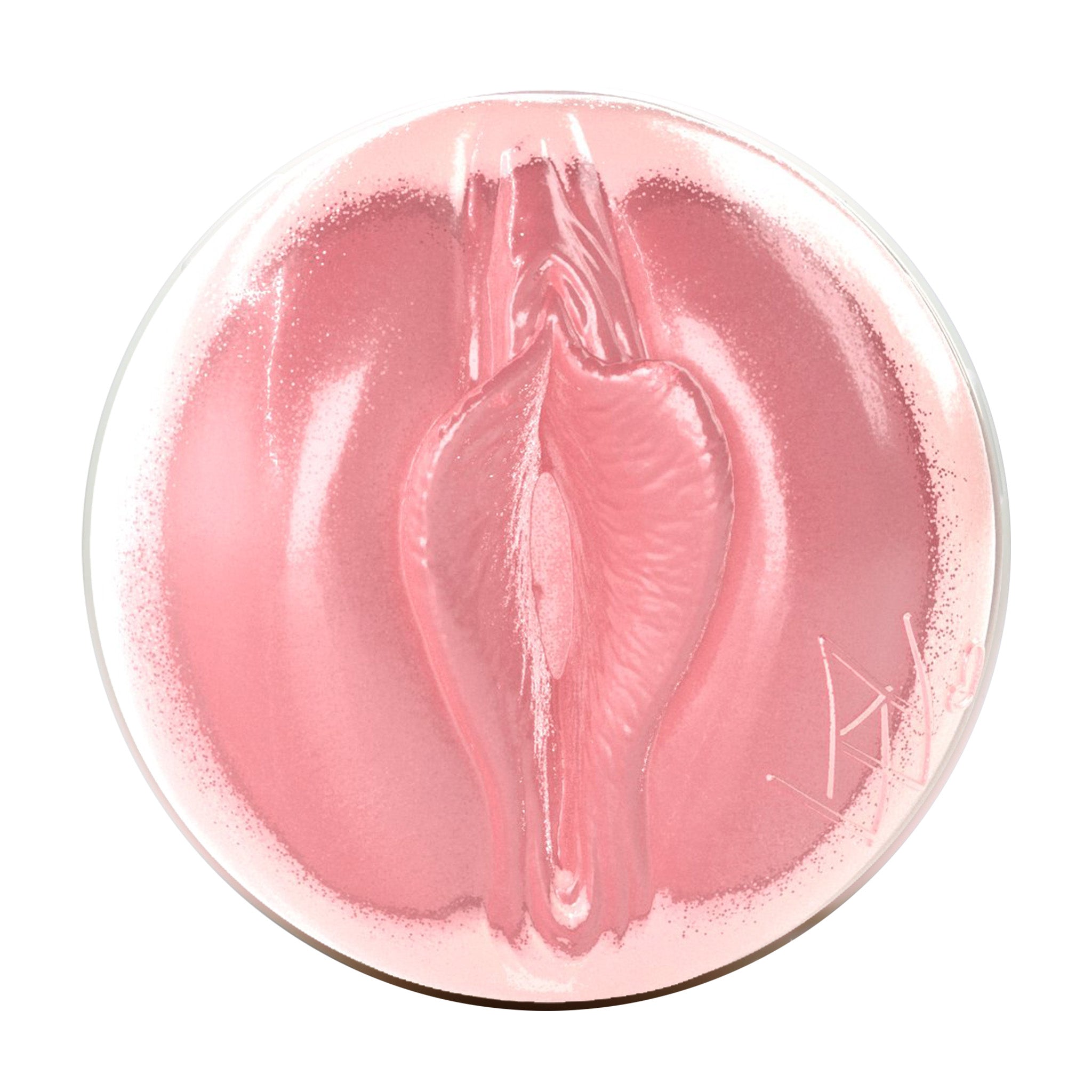 fleshlight-girls-angela-white-masturbateur-angelure-tui image 2