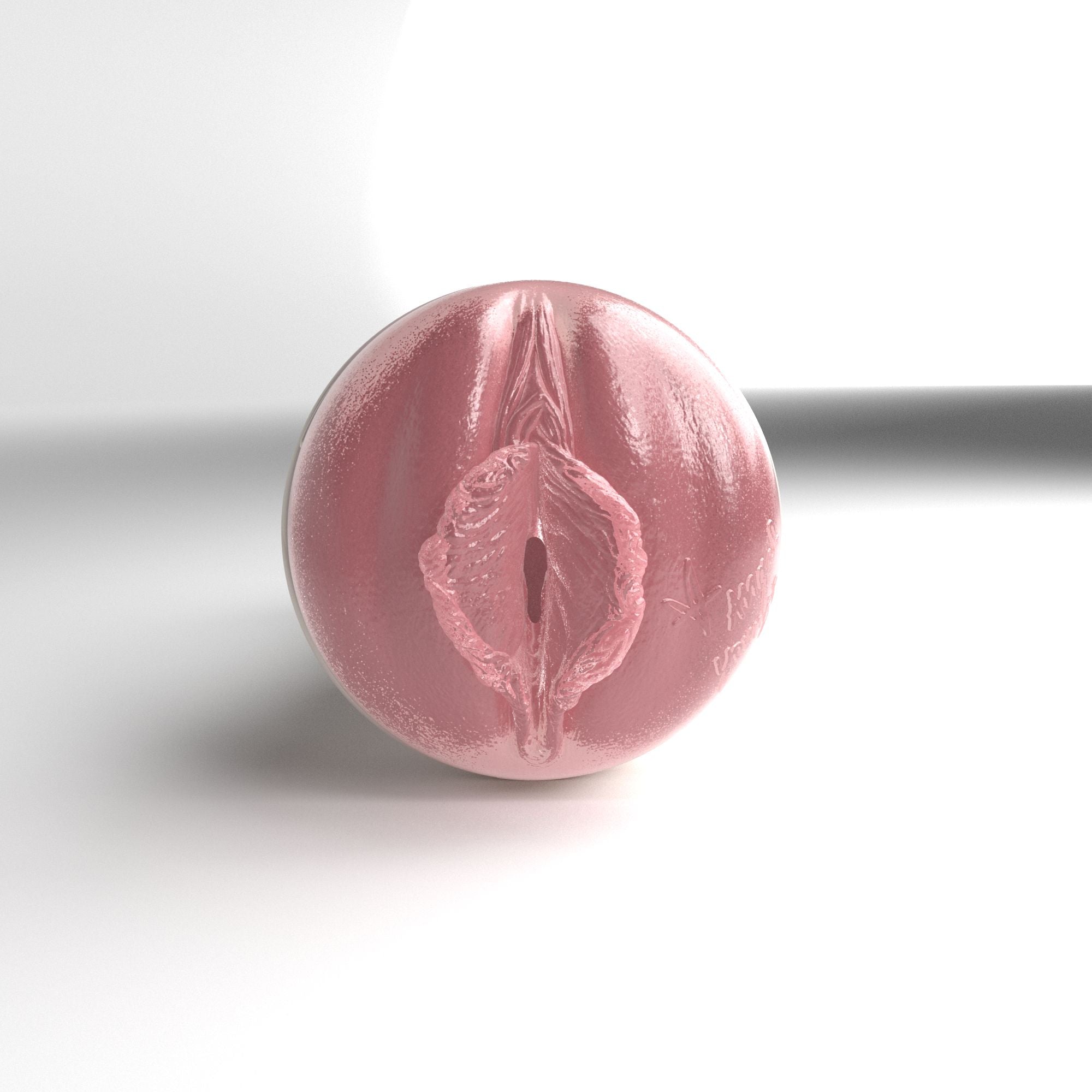 fleshlight-girls-angel-youngs-masturbateur-birthday-cake-reverse image 2