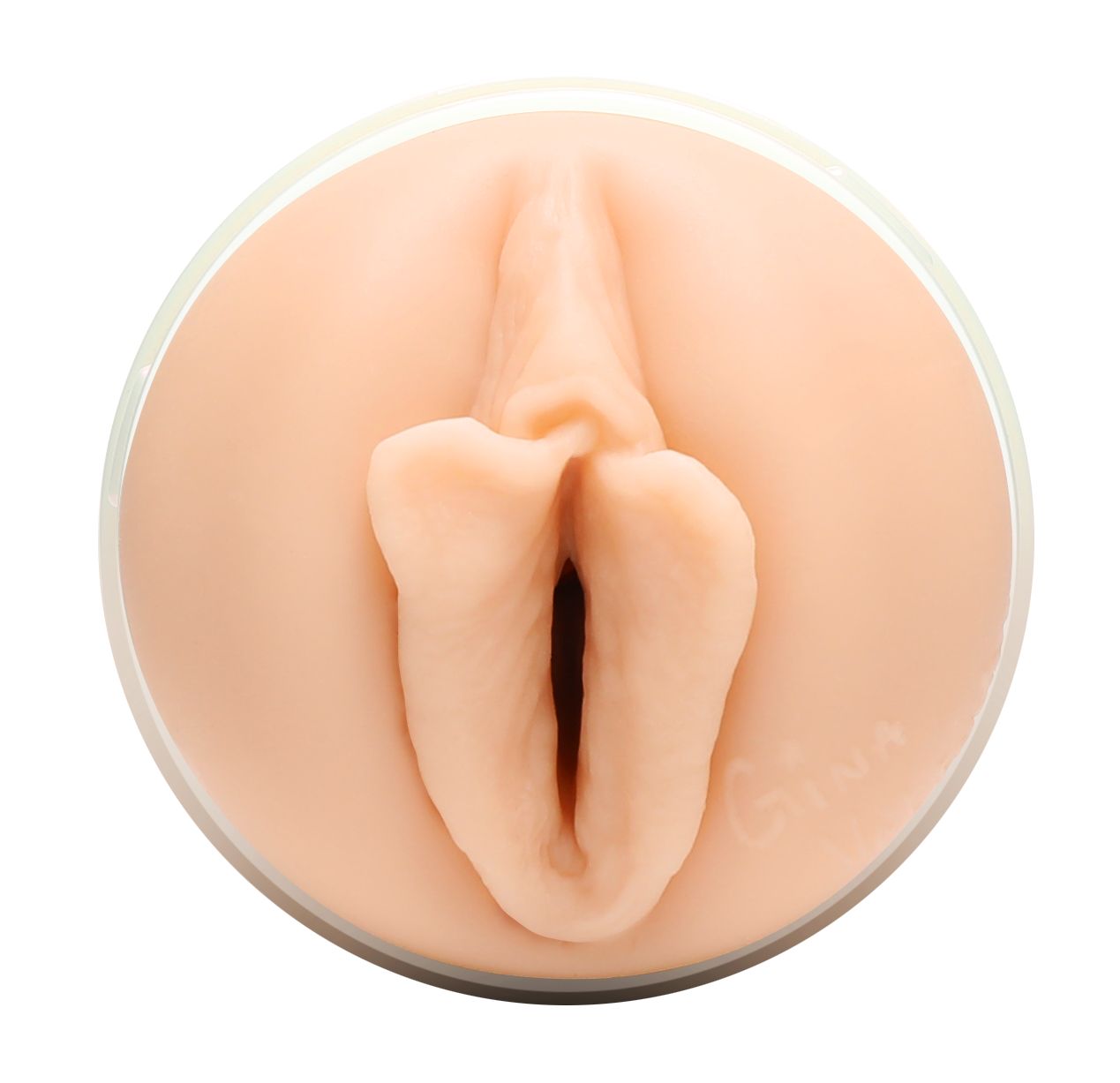 fleshlight-girls-gina-valentina-masturbateur-stellar image 2