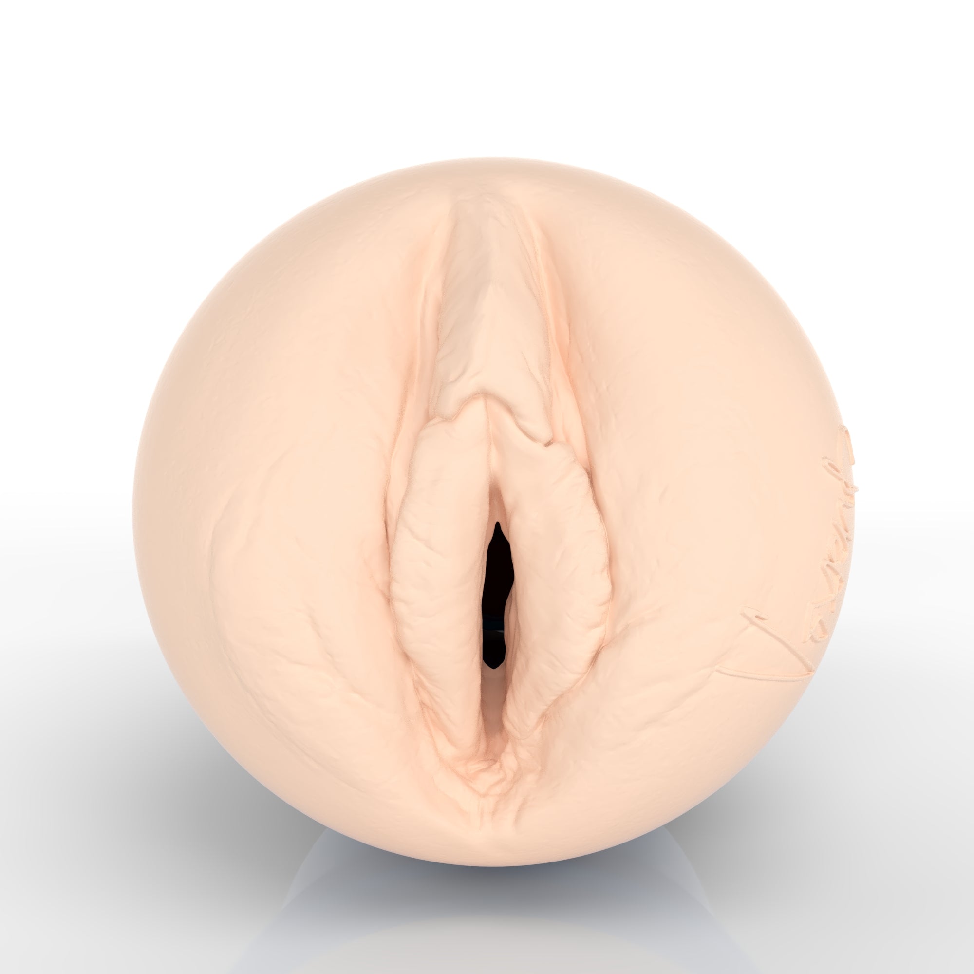 fleshlight-girls-vixenp-fansly-masturbateur-vagin-exclusive-lady image 2