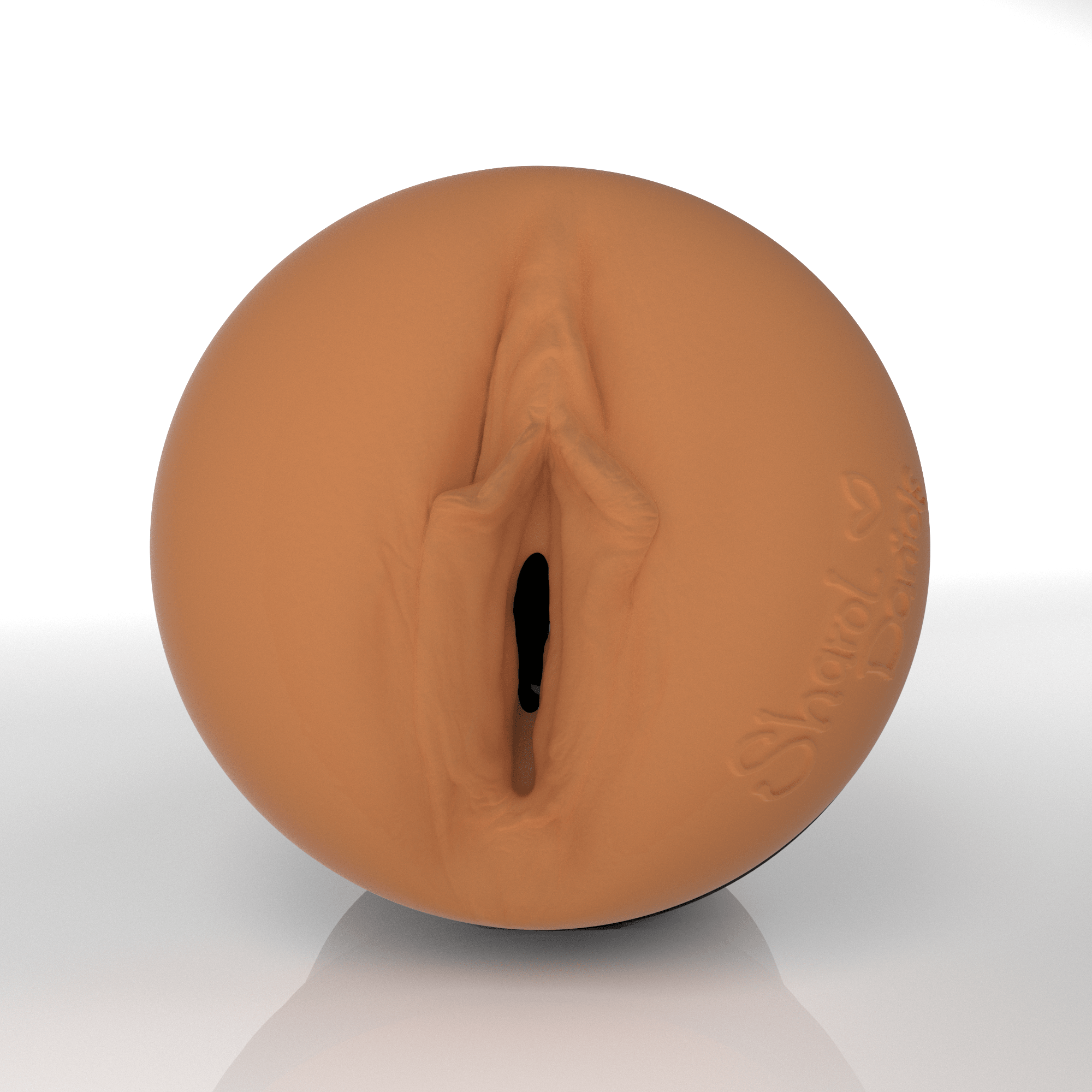 fleshlight-girls-sharol-daniels-masturbateur-lady-exclusif image 2
