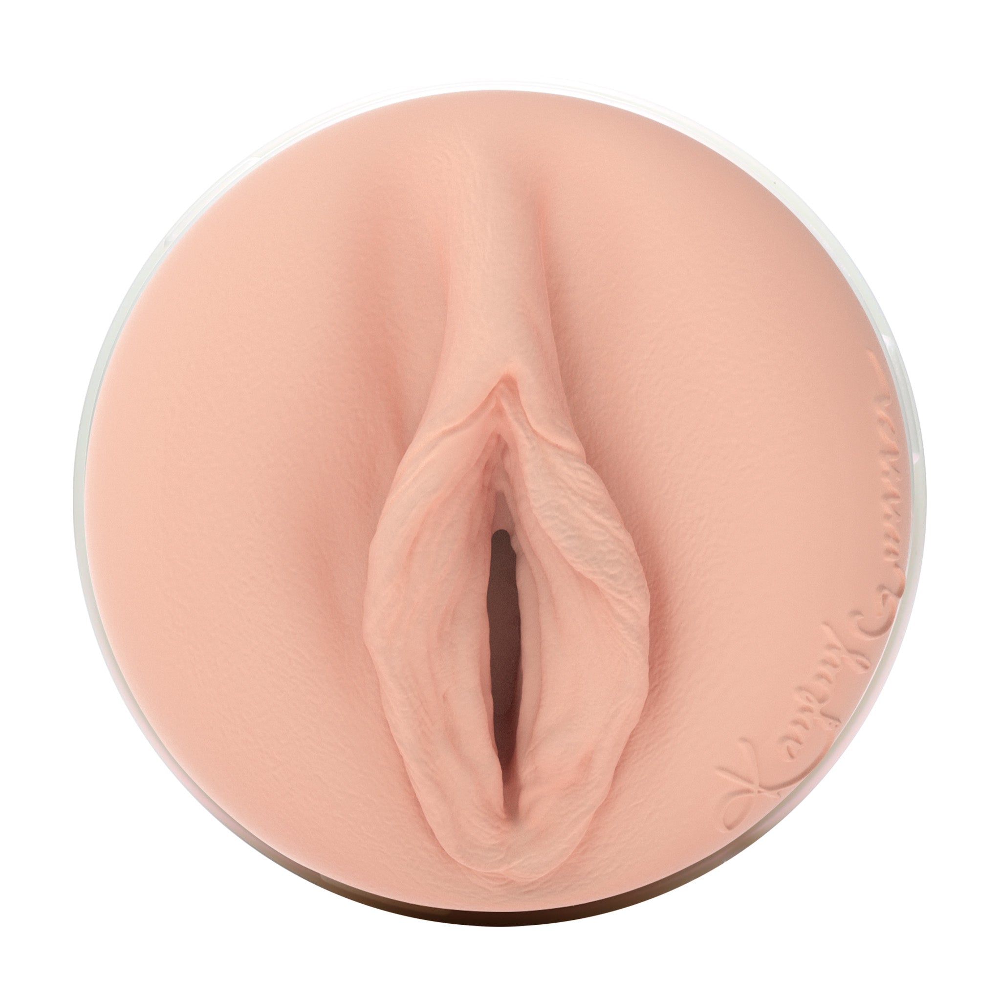 fleshlight-girls-kayley-gunner-masturbateur-fully-loaded image 3