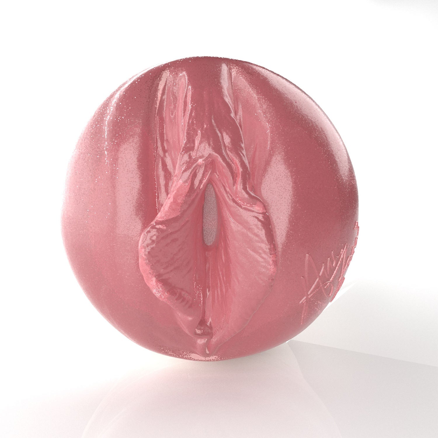 fleshlight-girls-ana-foxxx-birthday-cake-masturbateur-vaginal-avec-tui image 3