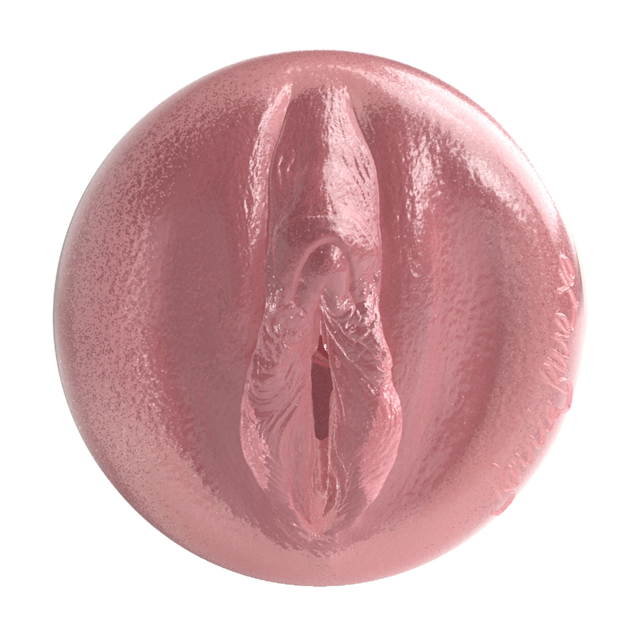 fleshlight-girls-bonnie-blue-birthday-cake-masturbateur-reverse-1k image 2