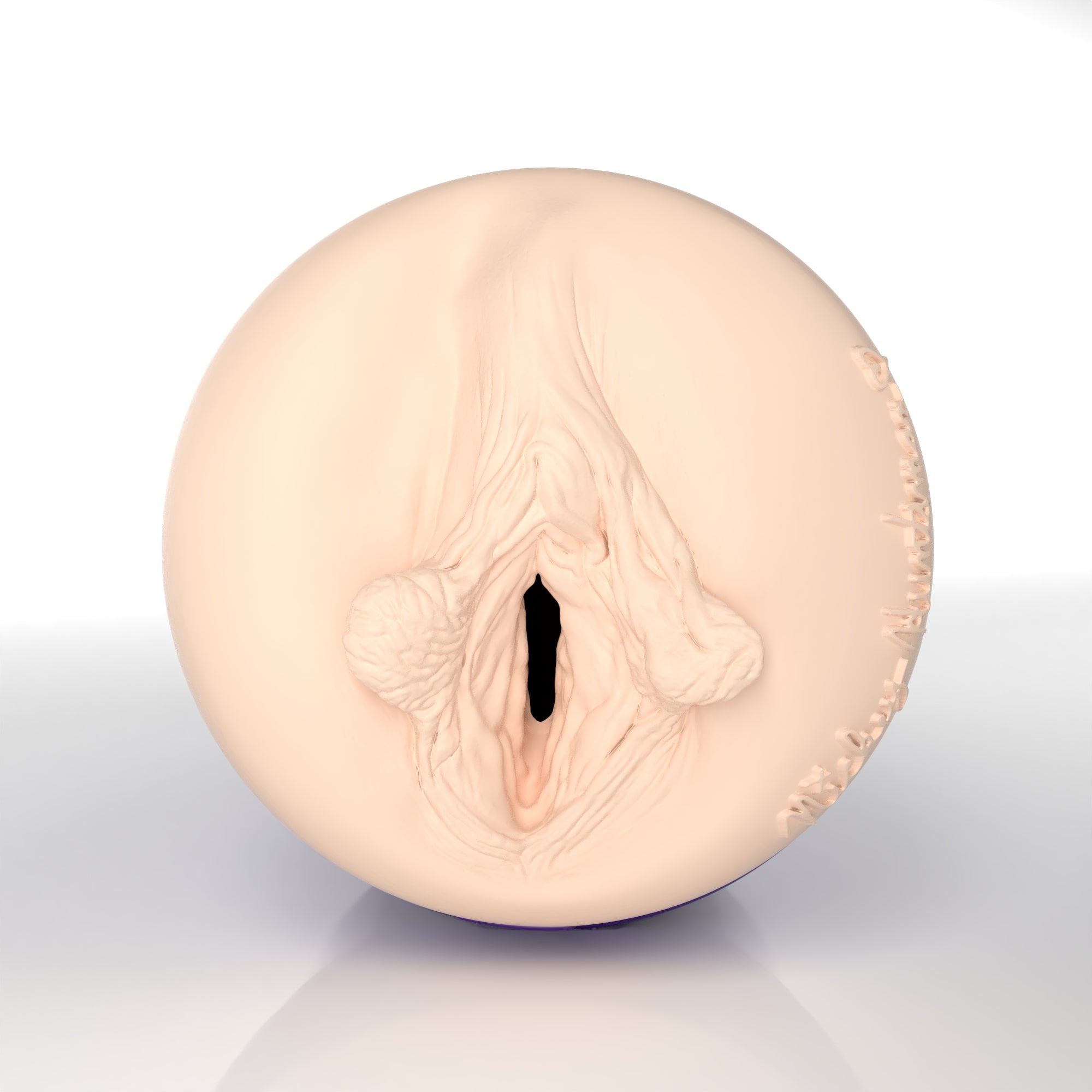 fleshlight-pro-nickey-huntsman-masturbateur-chatte-allure-r-aliste image 2
