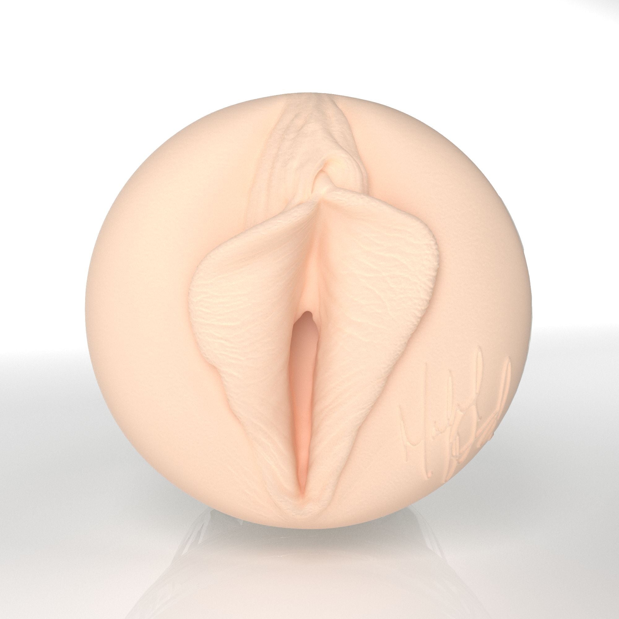 fleshlight-girls-maitland-ward-x3-2026-masturbateur-lady-avec-tui image 3