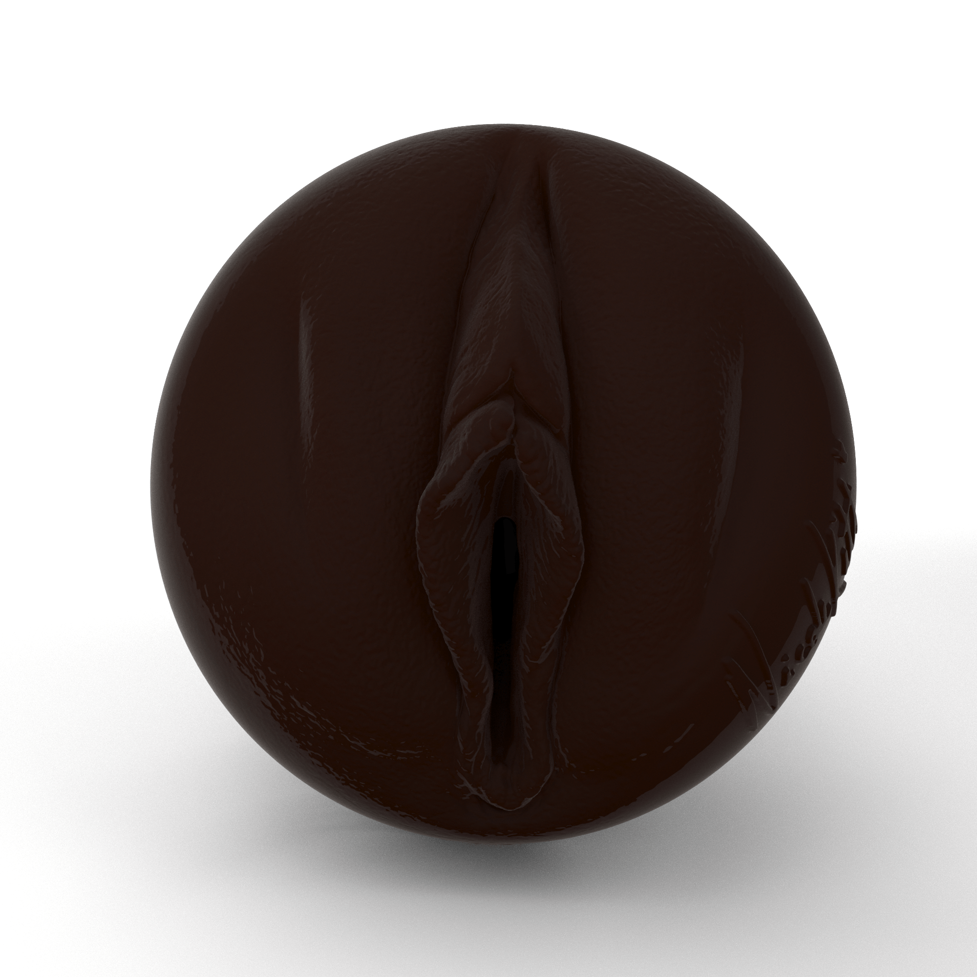 fleshlight-girls-nicole-kitt-masturbateur-vaginal-vixen-edition image 2