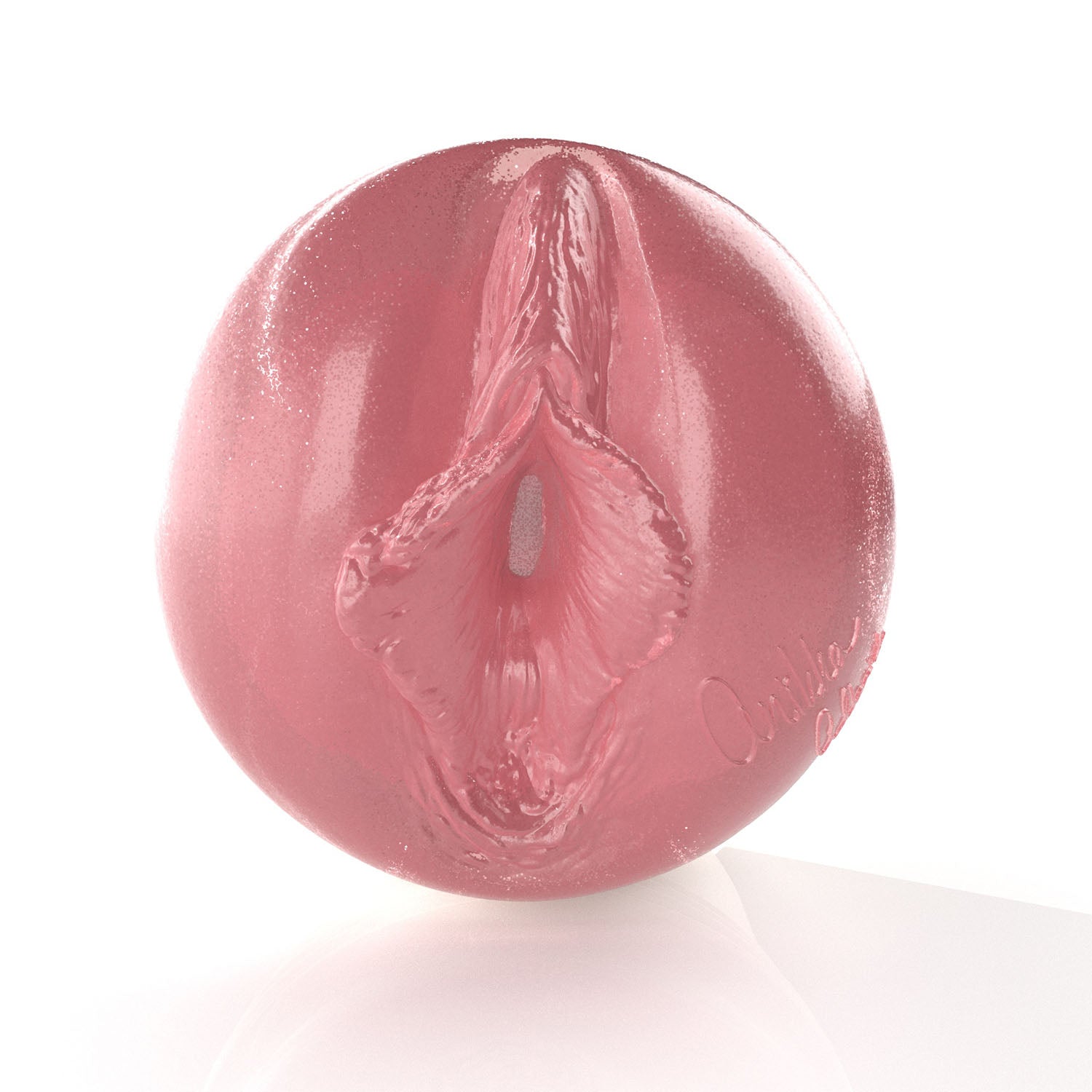 fleshlight-girls-anikka-albrite-masturbateur-birthday-cake image 2