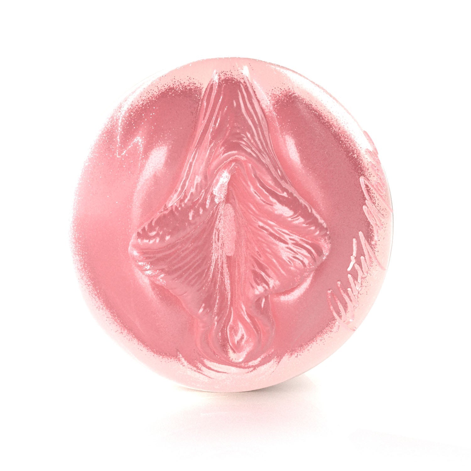 fleshlight-girls-christy-mack-birthday-cake-masturbateur-avec-tui-lady image 3