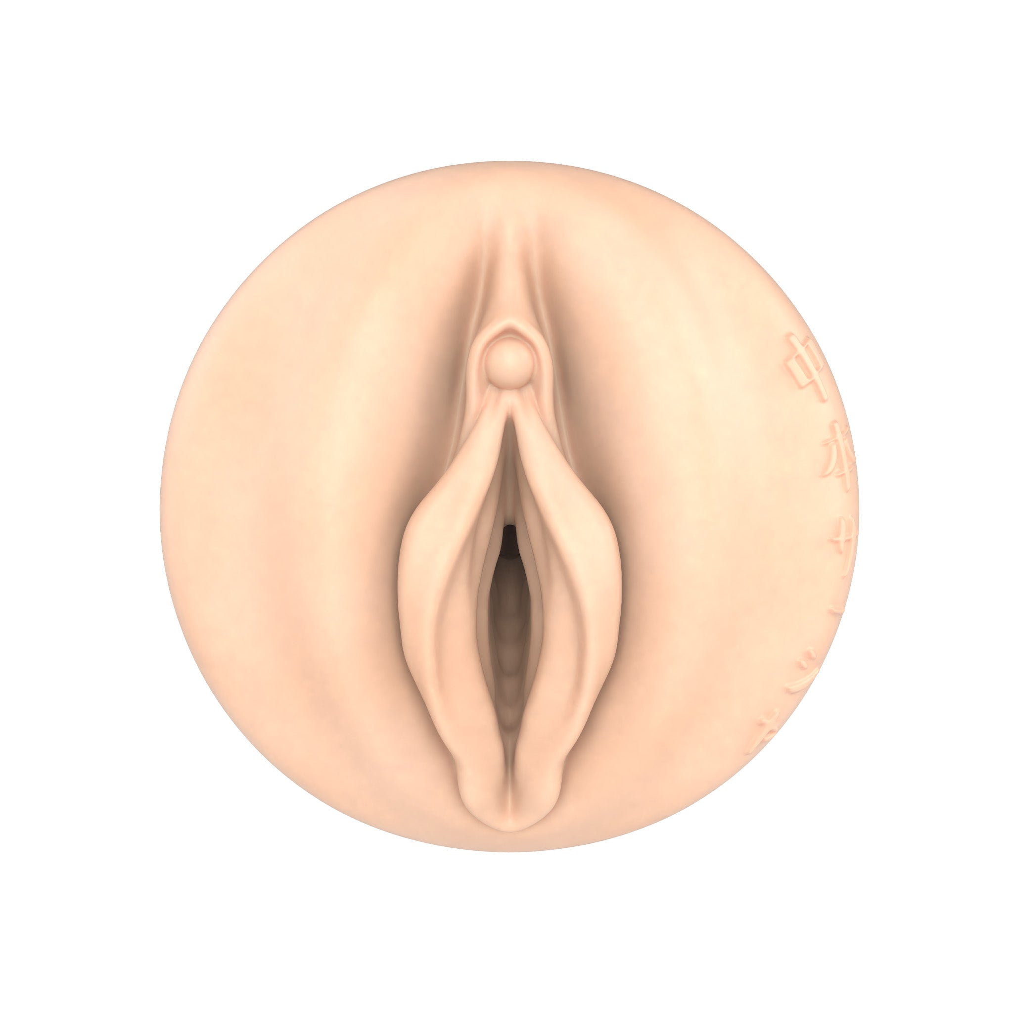 fleshlight-girls-sasha-nakamoto-masturbateur-vagina-fantasy image 2