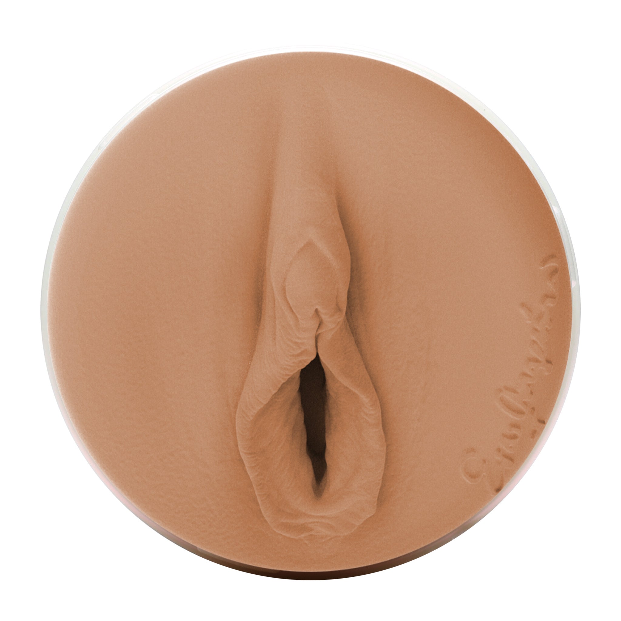 fleshlight-girls-eva-angelina-masturbateur-smolder-avec-tui image 4