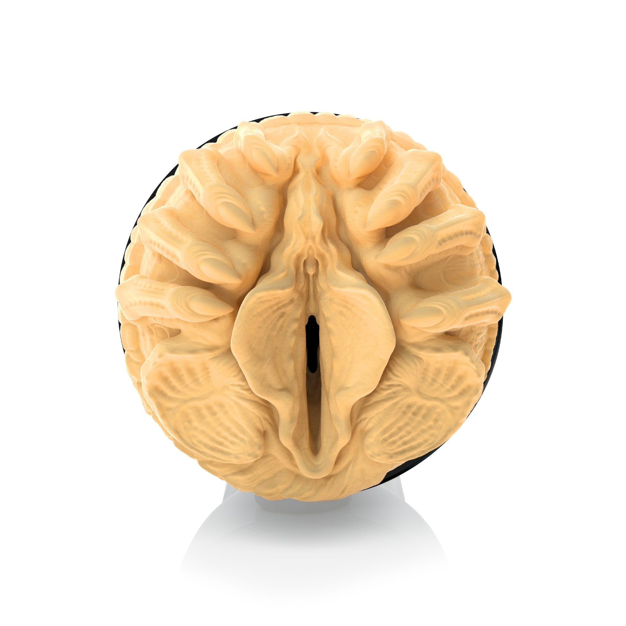 fleshlight-classics-xeno-hgr-stroker-masturbateur-intense image 2