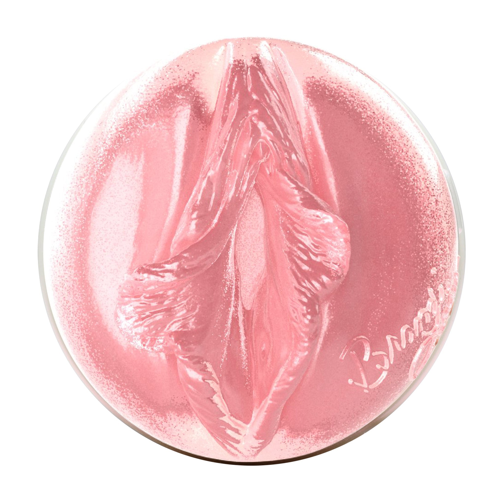 fleshlight-girls-brandi-love-masturbateur-bi-hive image 2