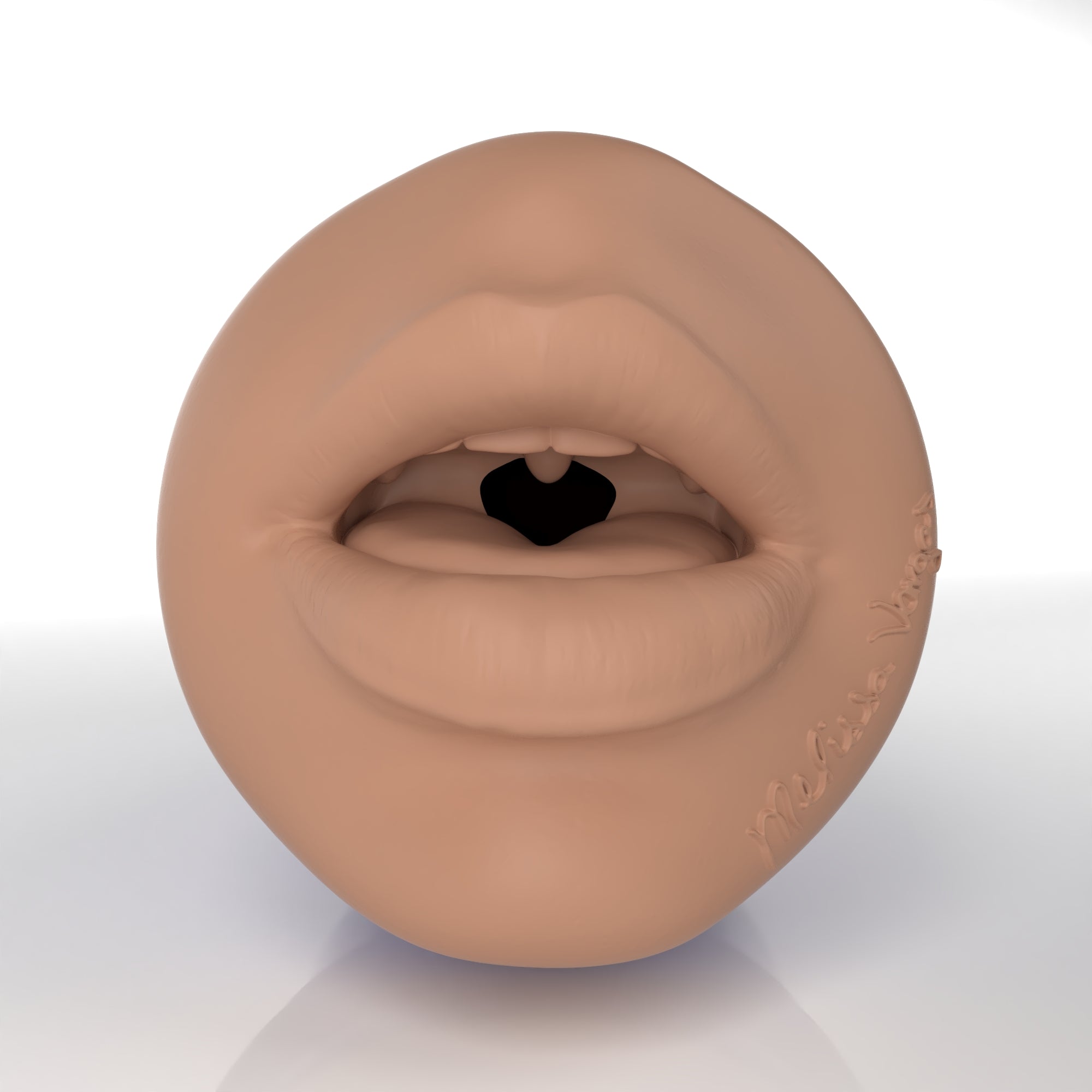 fleshlight-pro-melissa-vargas-masturbateur-bouche-allure image 2